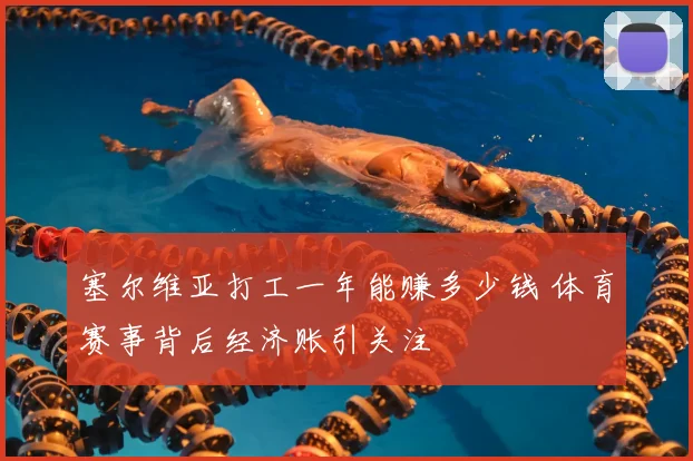 塞尔维亚打工一年能赚多少钱 体育赛事背后经济账引关注